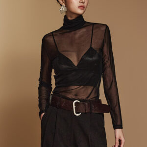 E3546 Sheer Turtleneck Top