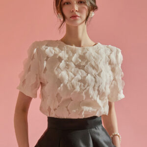 B2869 Chiffon Blouse